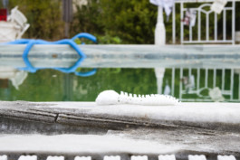 THE POOL