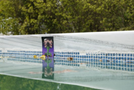 THE POOL