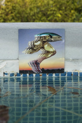 THE POOL