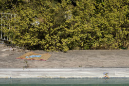 THE POOL