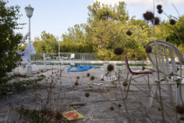THE POOL